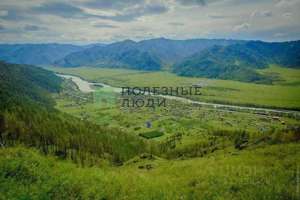 Участок в Алтай, Усть-Коксинский район, пос. Замульта Проточная ул. ... - Фото 0