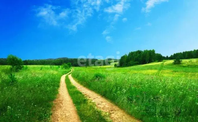 Участок в Пермский край, Лысьва Индустриальная ул., 48 (12.0 сот.) - Фото 2