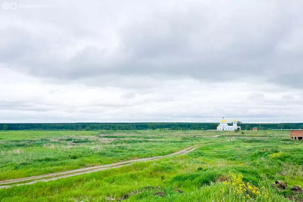 Участок в Свердловская область, городской округ Богданович, село ... - Фото 1