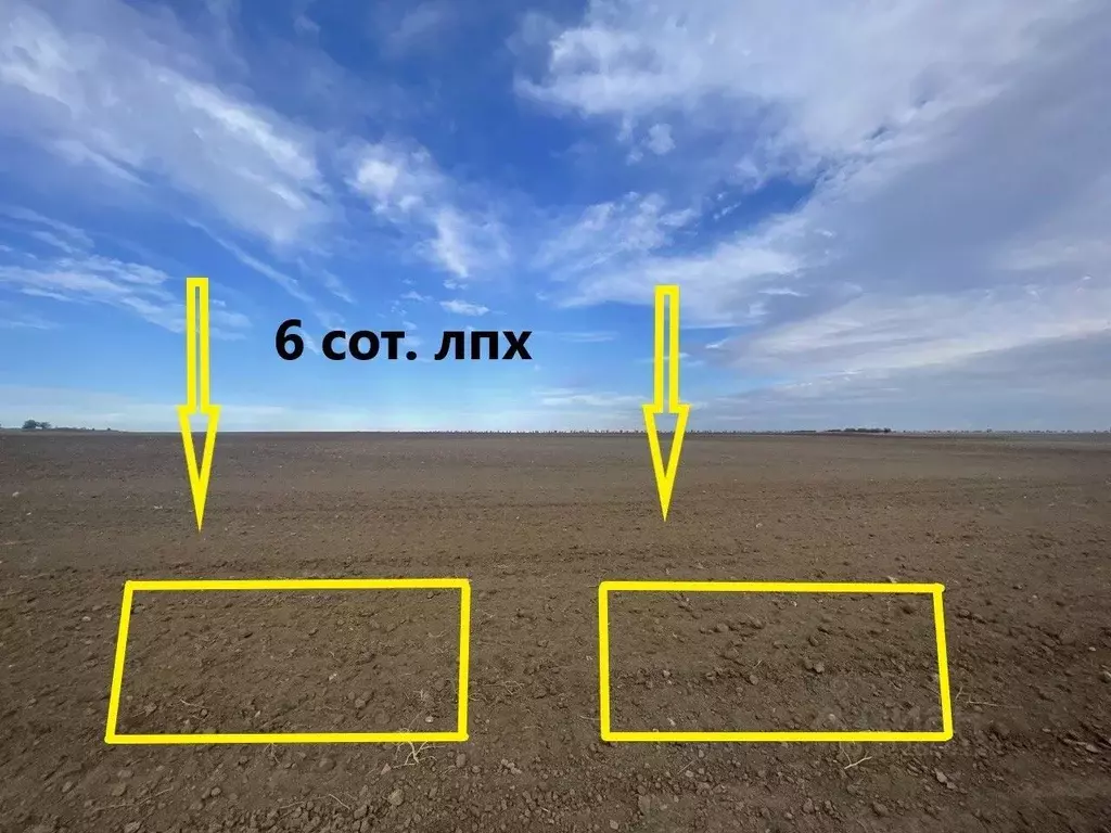 Участок в Крым, Сакский район, Штормовское с/пос, с. Приветное  (6.0 ... - Фото 1