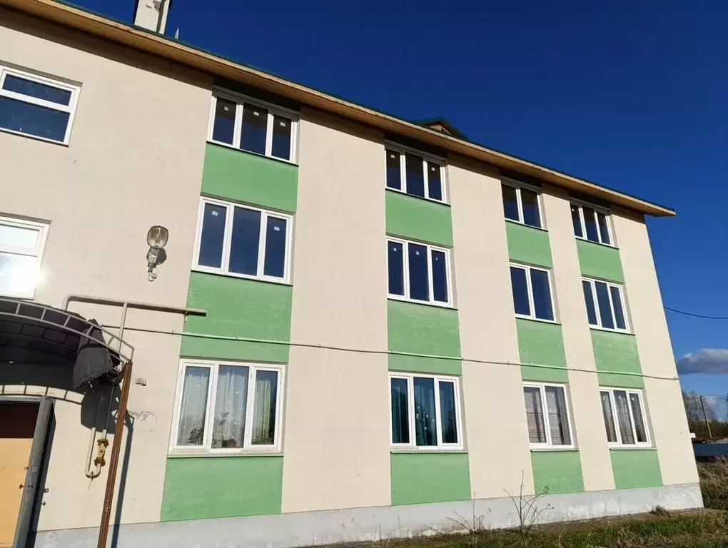 1-к кв. Новгородская область, Солецкий муниципальный округ, д. Выбити ... - Фото 1