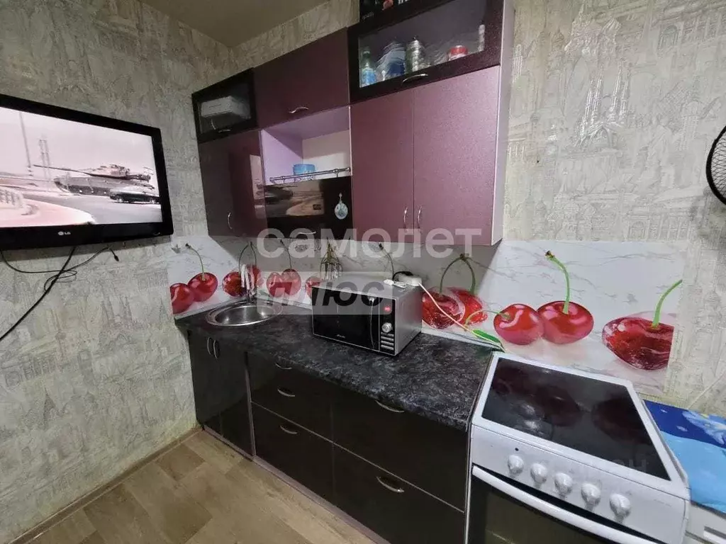 1-к кв. Амурская область, Благовещенский район, с. Чигири ул. Красная, ... - Фото 2