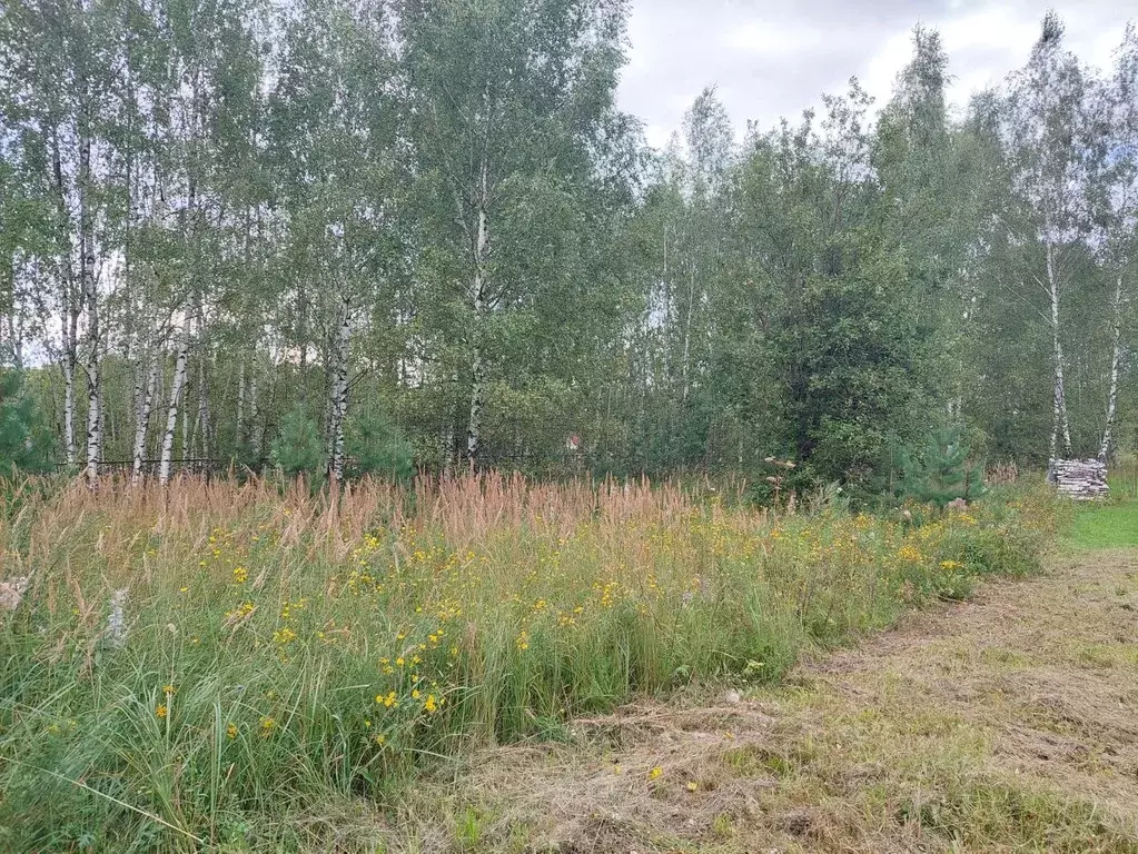 Участок в Московская область, Богородский городской округ, Зорька СНТ ... - Фото 0