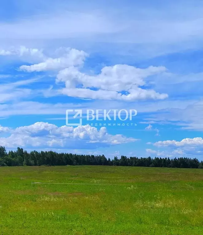 Участок в Костромская область, Кострома  (8.0 сот.) - Фото 1