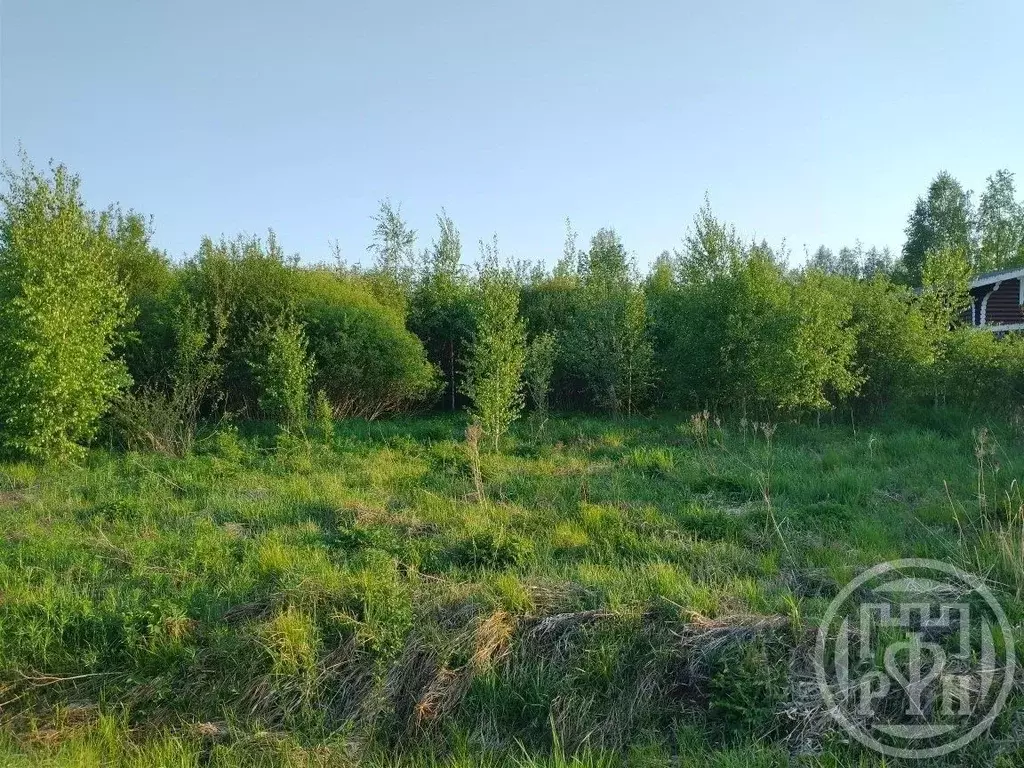 Участок в Ленинградская область, Выборгский район, Рощинское городское ... - Фото 0