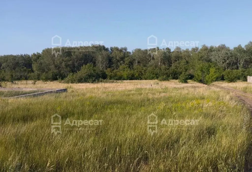 Участок в Волгоградская область, Иловлинский район, Новогригорьевское ... - Фото 1