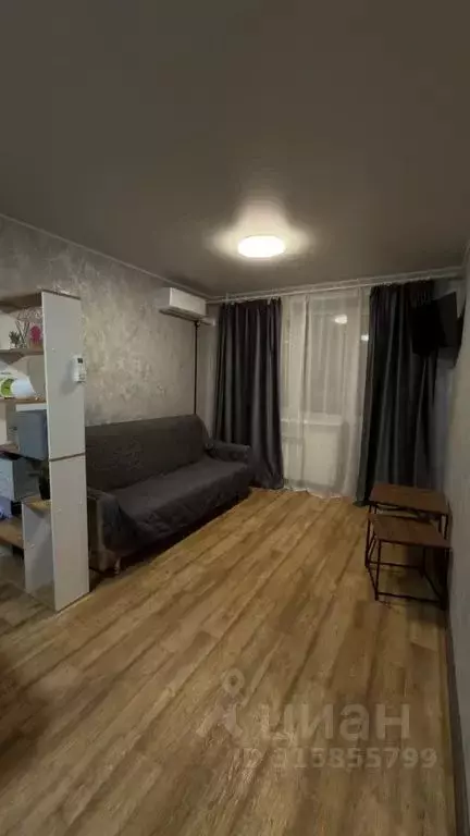 1-к кв. Алтай, Горно-Алтайск ул. Ленкина, 2 (30.0 м) - Фото 1