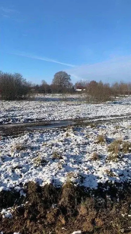 Участок в Московская область, Талдомский городской округ, д. Новая ... - Фото 2