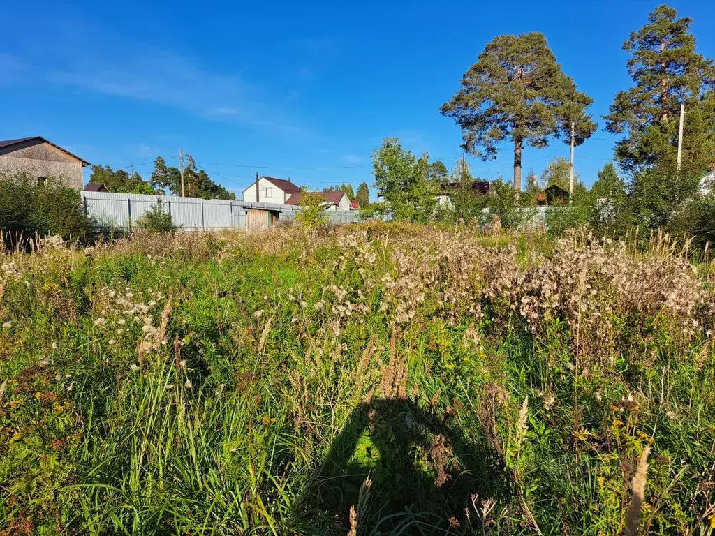 Участок в Нижегородская область, Володарский муниципальный округ, ... - Фото 1