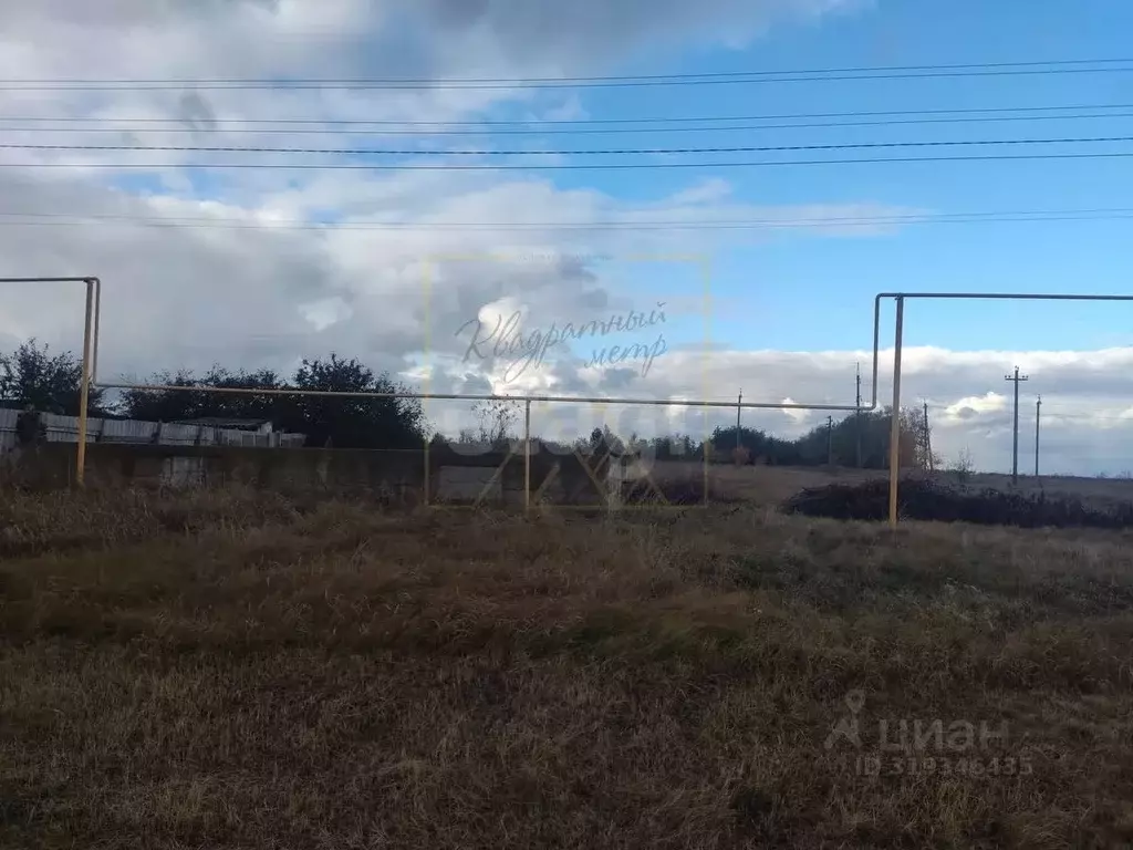 Участок в Воронежская область, Борисоглебский городской округ, с. ... - Фото 2