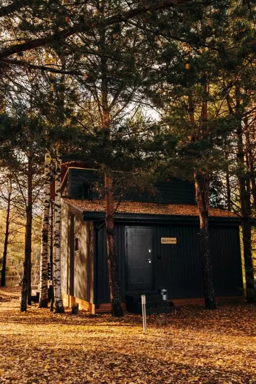 Дом в Карелия, Пряжинский район, Чалнинское с/пос, д. Нижние Виданы, ... - Фото 2