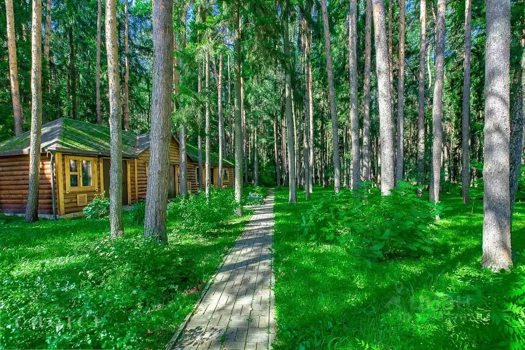 Участок в Московская область, Одинцовский городской округ, д. Жуковка, ... - Фото 1