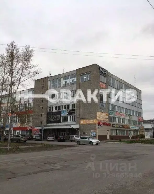 Офис в Новосибирская область, Барабинск ул. Кирова, 26 (28 м) - Фото 2