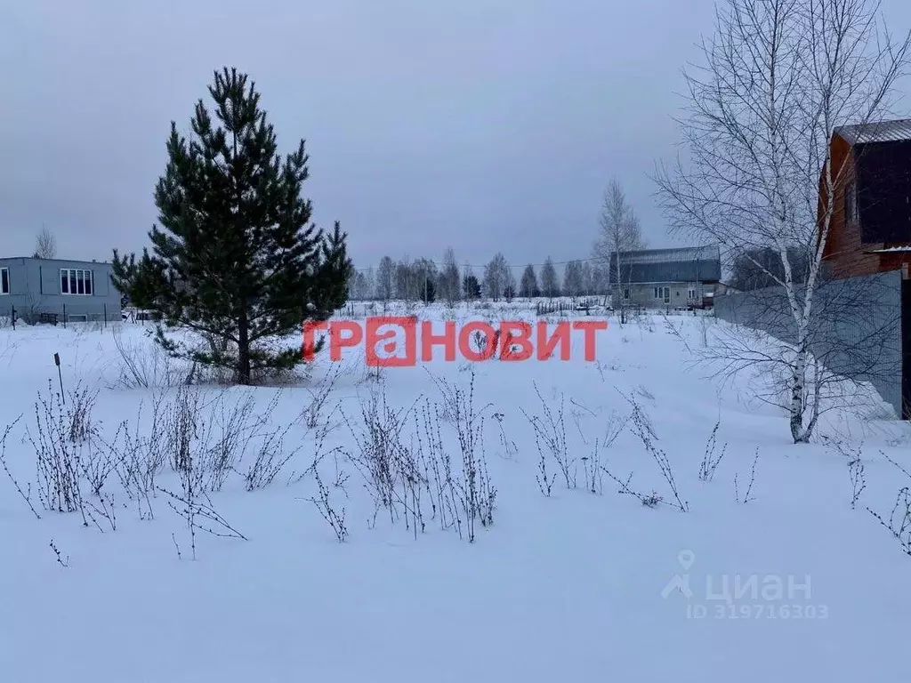 Участок, 15 сот., поселения (ижс) - Фото 0