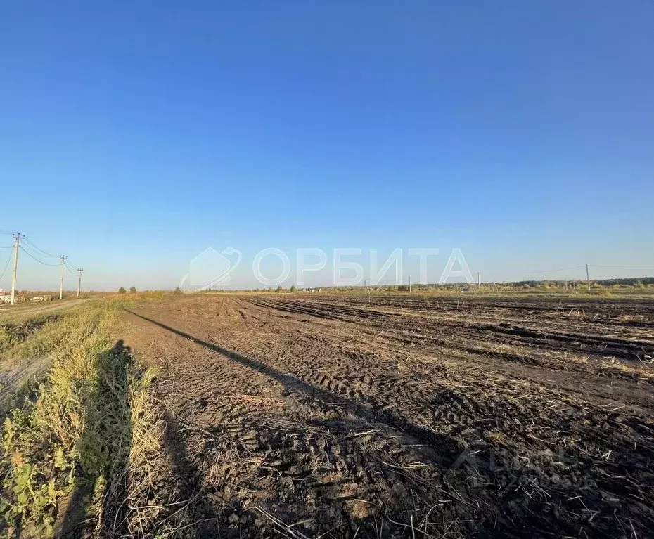 Участок в Тюменская область, Тюменский муниципальный округ, д. ... - Фото 2