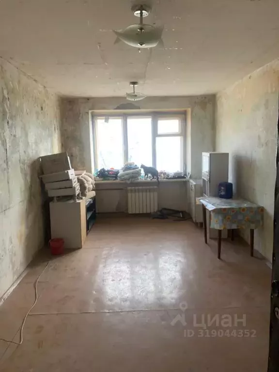 Комната Новосибирская область, Бердск Боровая ул., 100 (17.5 м) - Фото 1