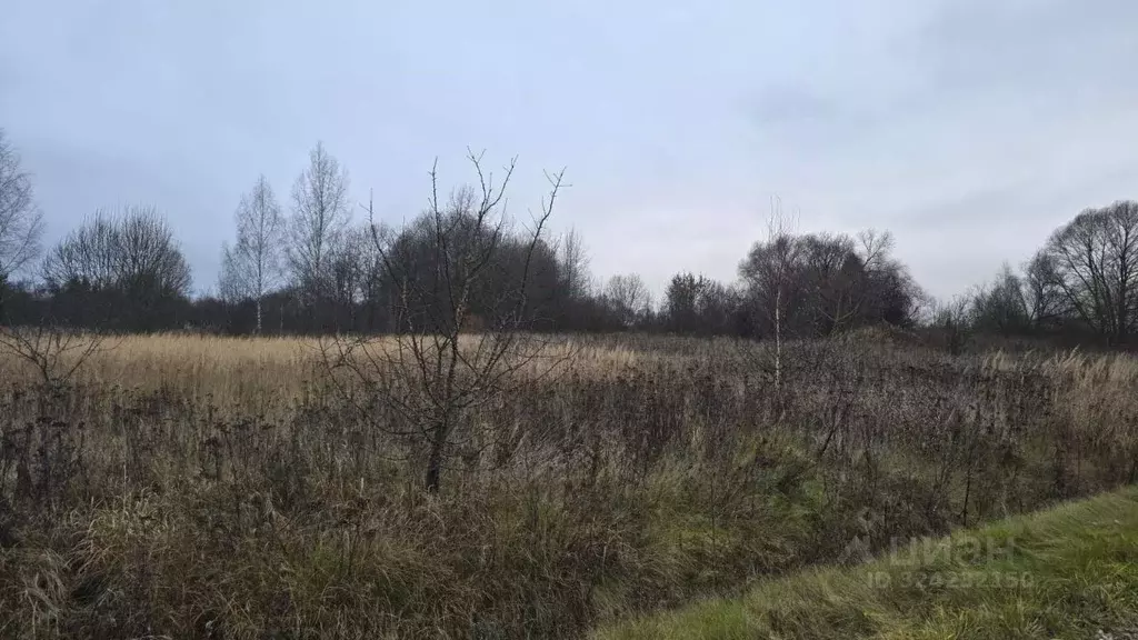 Участок в Московская область, Ступино городской округ, д. ... - Фото 2