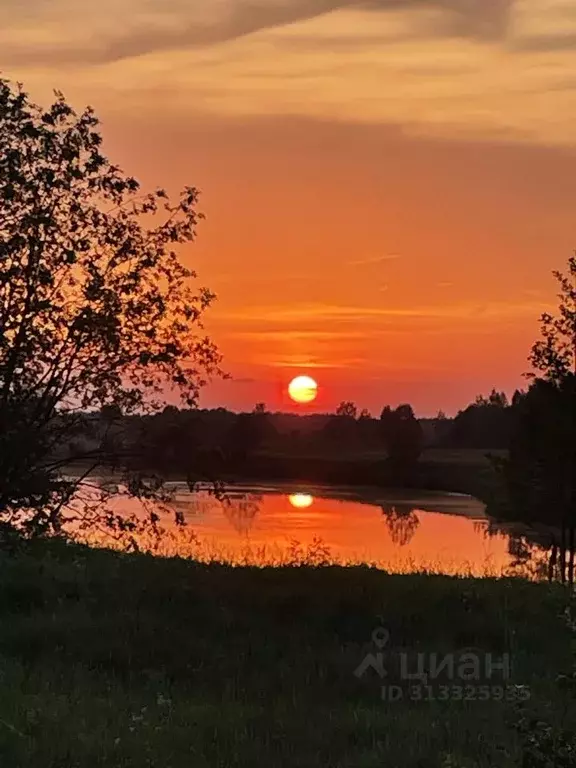 Участок в Тверская область, Конаковский муниципальный округ, д. ... - Фото 1