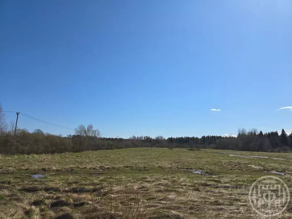 Участок в Ленинградская область, Приозерский район, Ларионовское ... - Фото 1