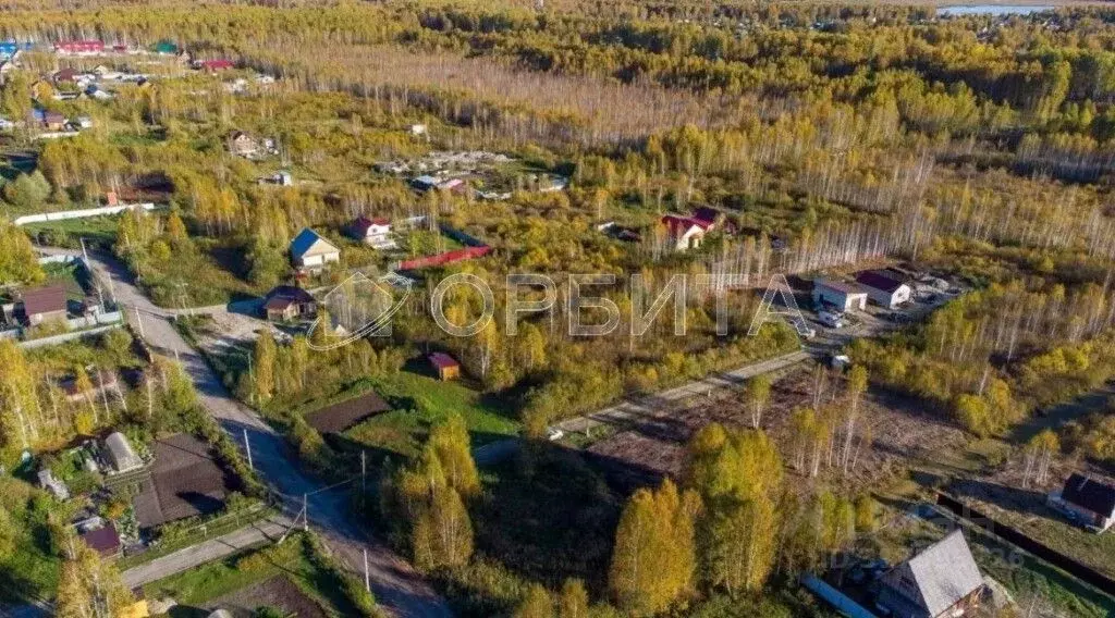 Участок в Тюменская область, Нижнетавдинский район, Сочинские СНТ 37-я ... - Фото 1