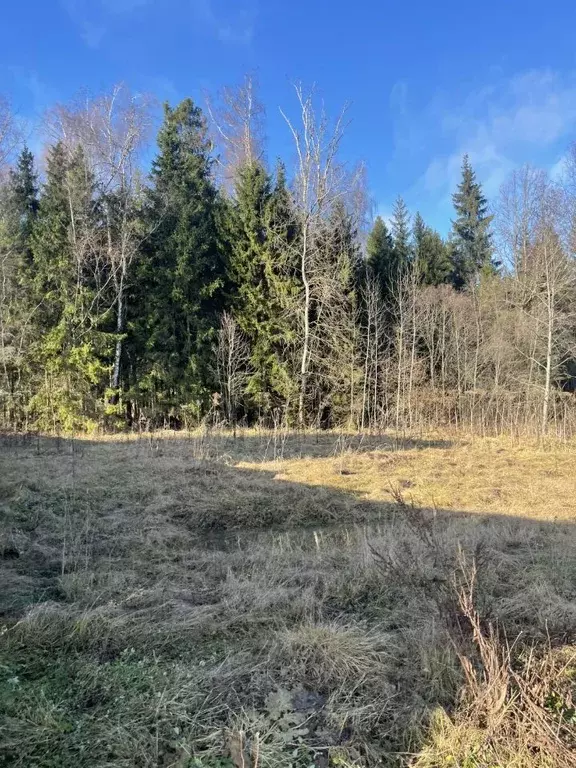 Участок в Московская область, Раменский городской округ, д. Васильево ... - Фото 1