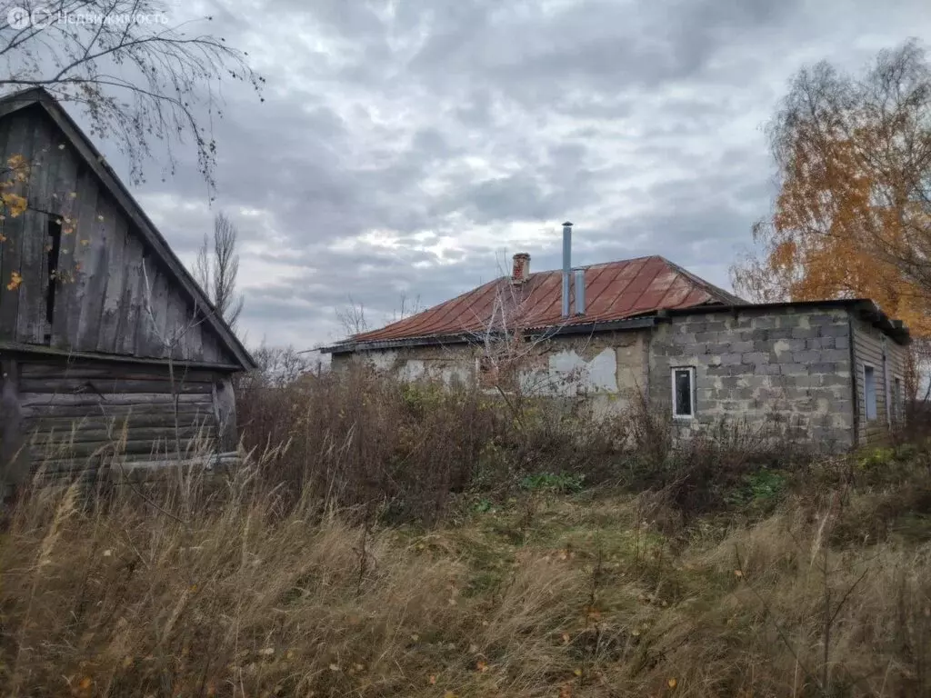 Дом в Надеино, Центральная улица, 88 (56.7 м) - Фото 1