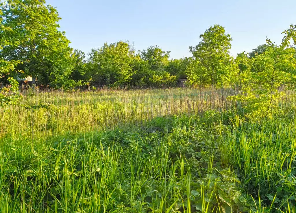 Участок в станица Переправная, улица Гуниной (50 м) - Фото 1