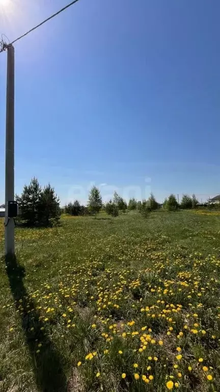 Участок в Кировская область, Киров городской округ, д. Чарушины ул. ... - Фото 1