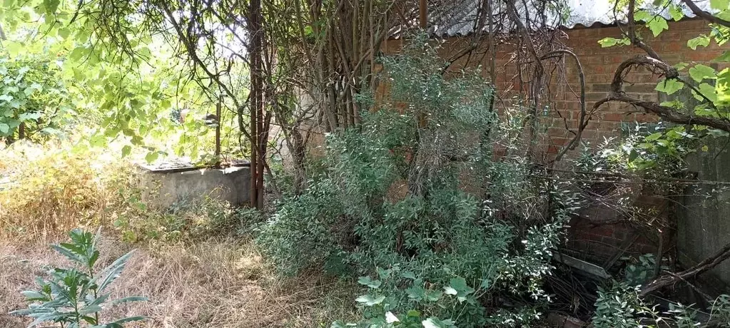 Дом 70 м на участке 15 сот. - Фото 1