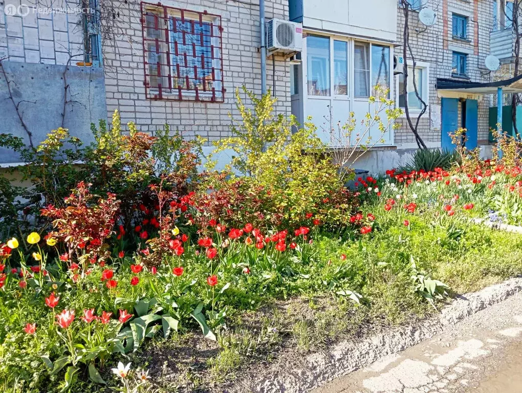 3-комнатная квартира: Ейск, Красная улица, 66/9 (79.3 м) - Фото 1