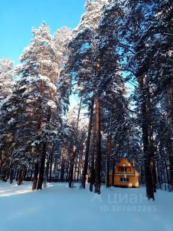 Дом в Башкортостан, Белорецк Учалинская ул., 3 (90 м) - Фото 2