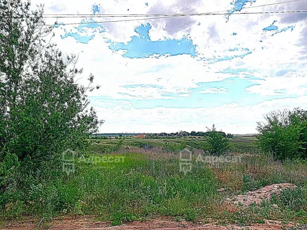 Участок в Волгоградская область, Городищенский район, Царицынское ... - Фото 2