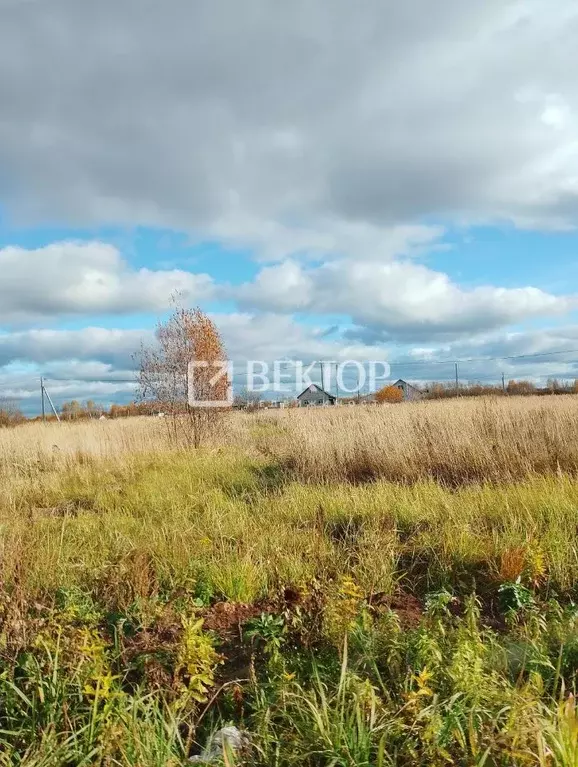 Участок в Костромская область, Кострома проезд Кружевной (9.6 сот.) - Фото 2