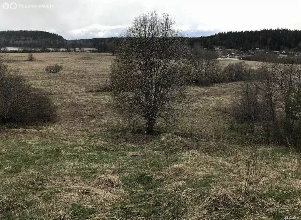 Участок в Республика Карелия, Лахденпохский муниципальный округ, ... - Фото 2