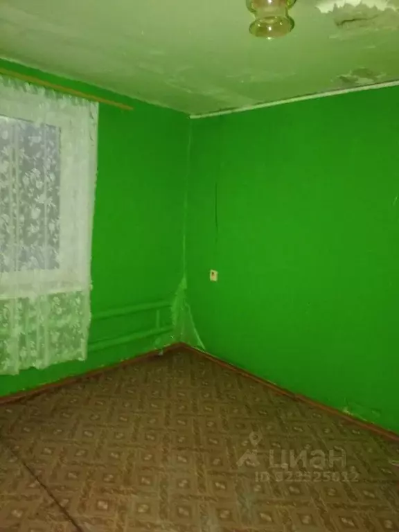 Помещение свободного назначения в Нижегородская область, Спасский ... - Фото 2