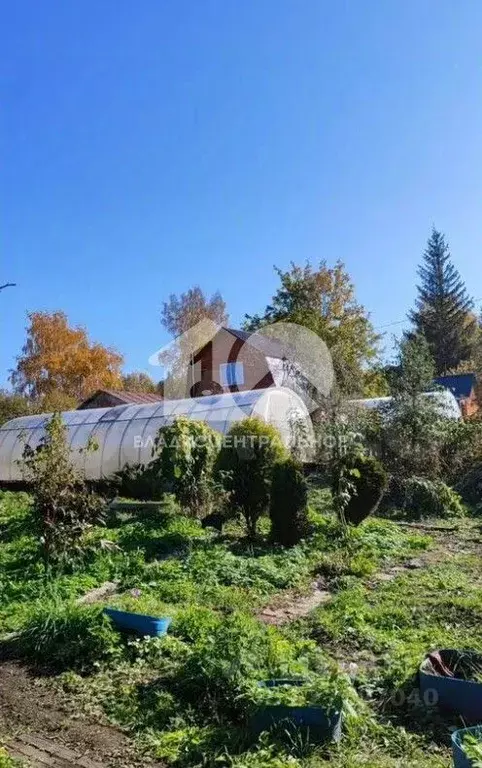 Дом в Новосибирская область, Новосибирск Березовая Роща СТ, 229 (43 м) - Фото 2