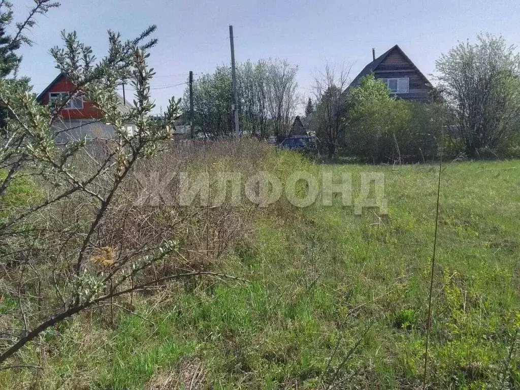 Участок в Новосибирская область, Новосибирск  (6.0 сот.) - Фото 0