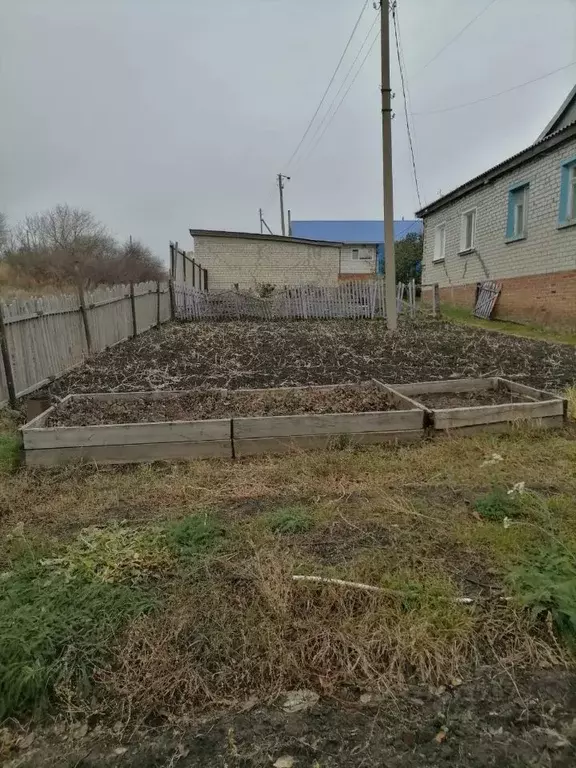 Дом в Саратовская область, Калининский район, Свердловское ... - Фото 2