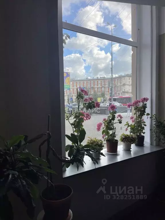 1-к кв. Санкт-Петербург Заневский просп., 14 (35.5 м) - Фото 1