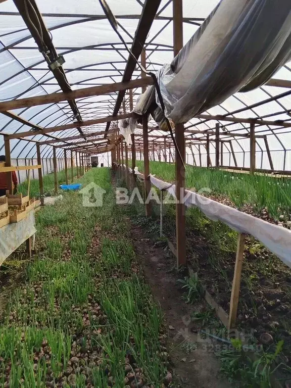 Участок в Ленинградская область, Гатчинский муниципальный округ, д. ... - Фото 2