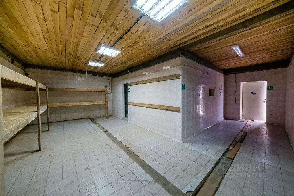 Помещение свободного назначения в Краснодарский край, Сочи Виноградный ... - Фото 2