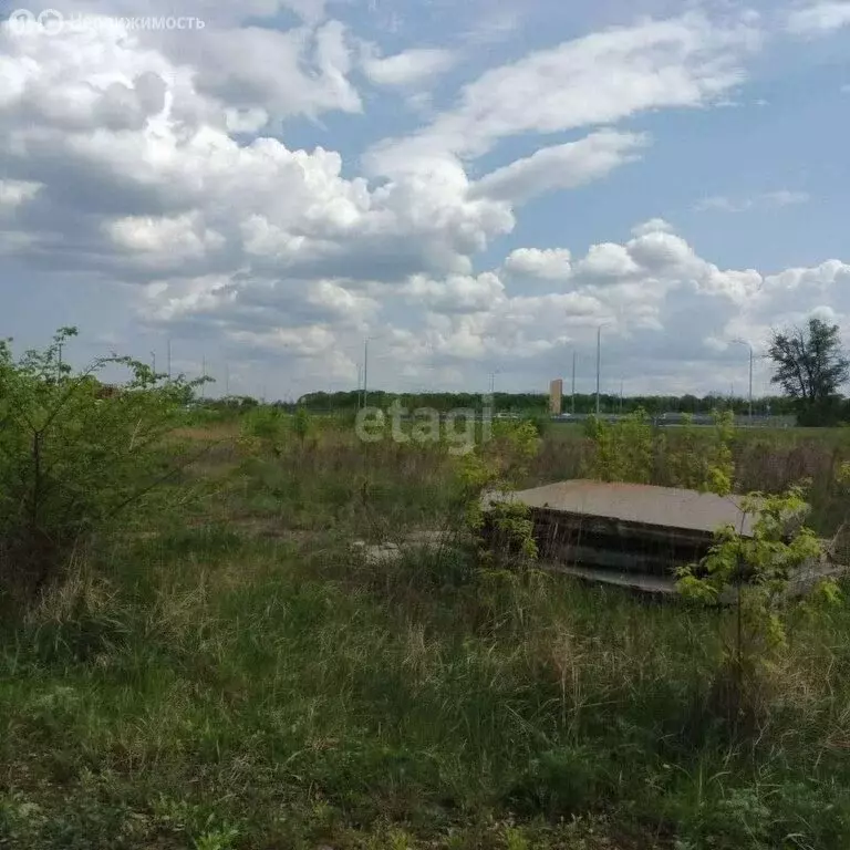 Участок в Рамонский район, Русскогвоздёвское сельское поселение, село ... - Фото 0