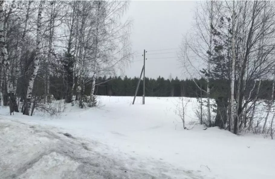 Участок в Свердловская область, муниципальное образование ... - Фото 0