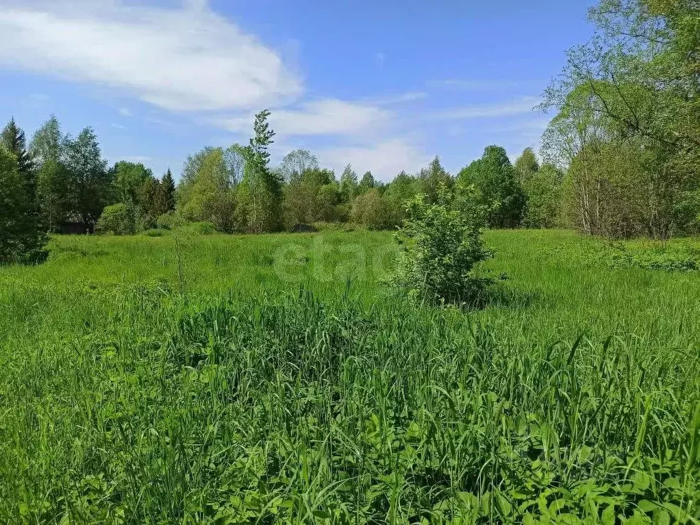 Участок в Ленинградская область, Волховский район, Потанинское с/пос, ... - Фото 1