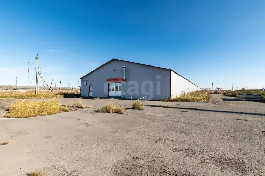 Склад в Курганская область, Курган Омская ул., 173к5 (1700 м) - Фото 1