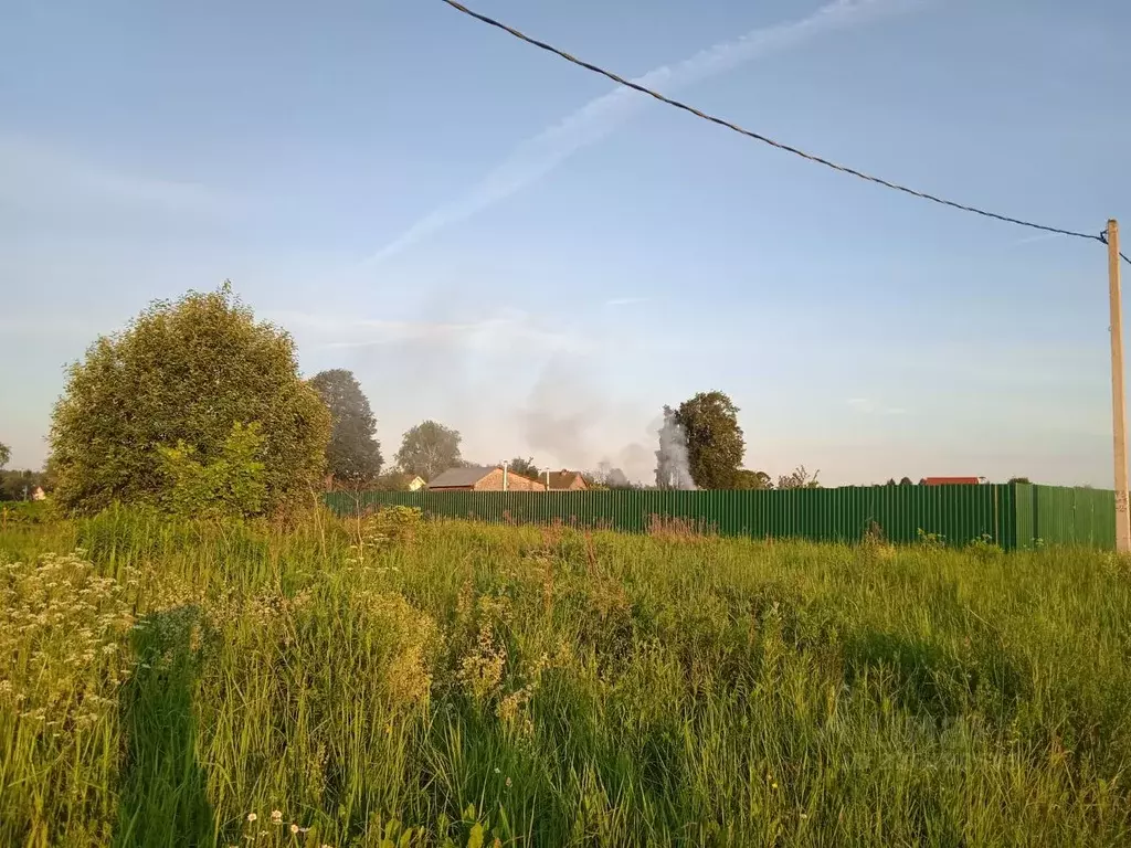Участок в Московская область, Чехов муниципальный округ, д. Плешкино ... - Фото 1