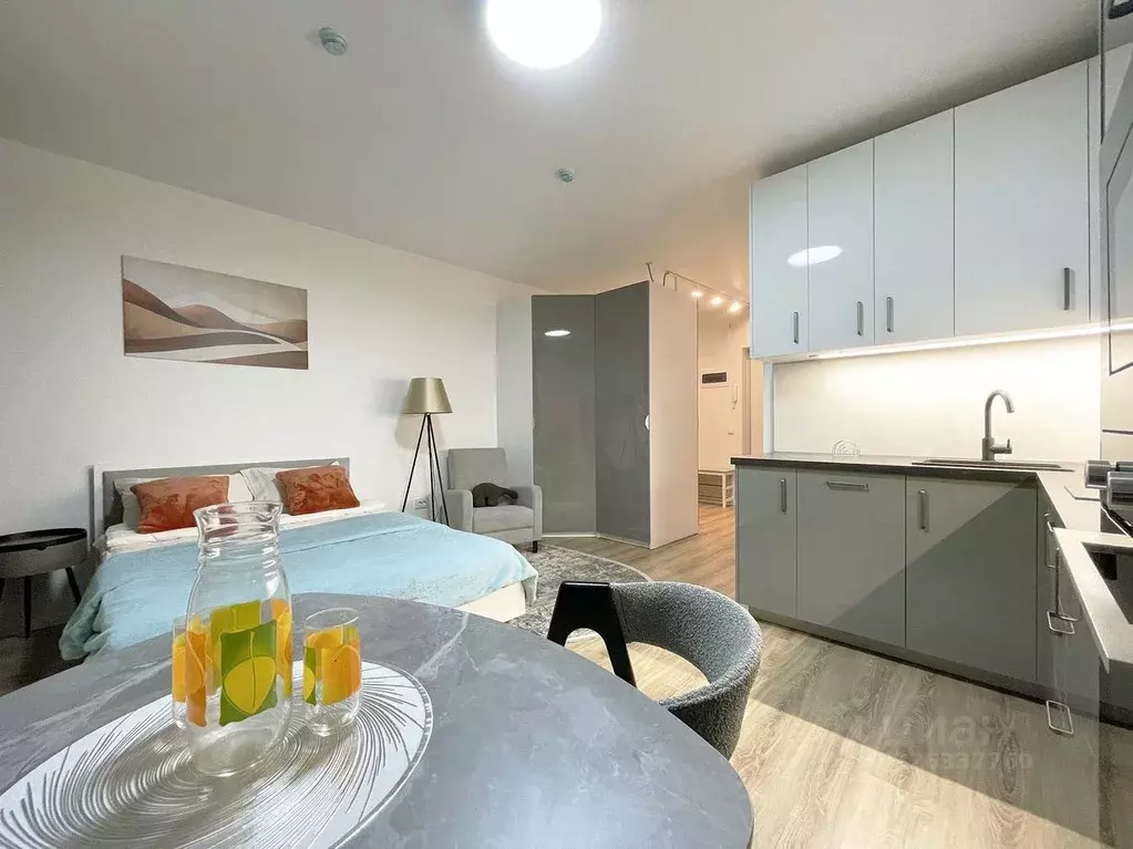 Студия Москва ул. Гренадерская, 9к2 (28.0 м) - Фото 1