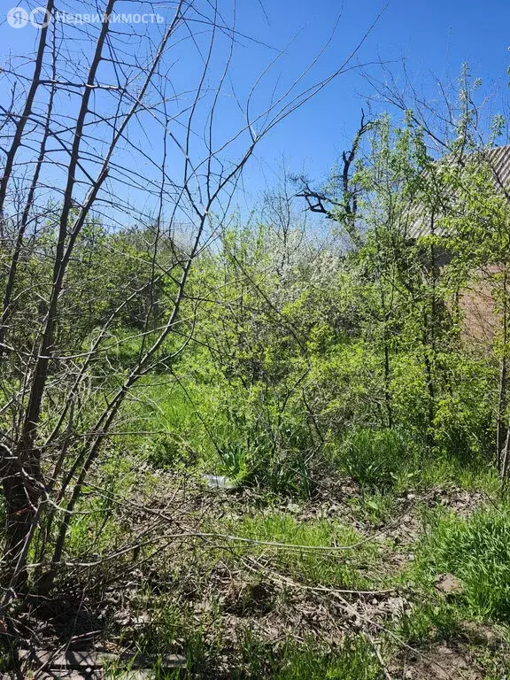 Участок в Новочеркасск, Ромашковая улица (6 м) - Фото 0