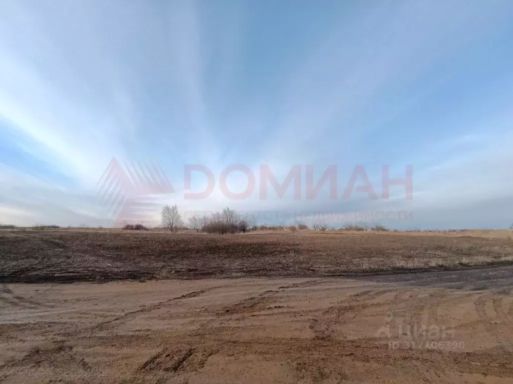 Участок в Ростовская область, Неклиновский район, ... - Фото 0