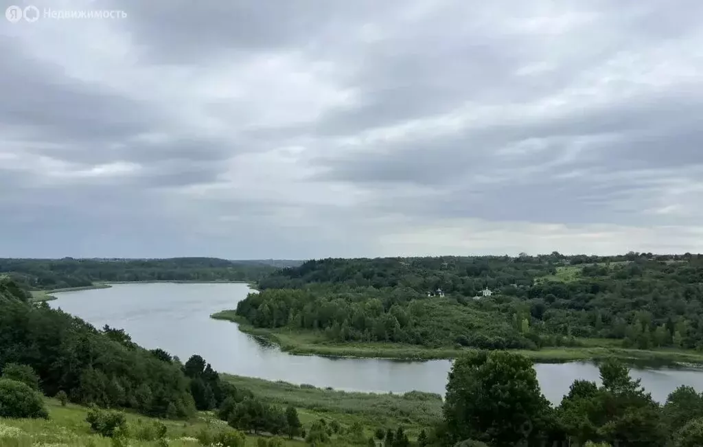 Участок в Псковская область, Печорский муниципальный округ, деревня ... - Фото 2